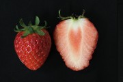 과중·경도·당도 UP…딸기 신품종 ‘금실’ 보급