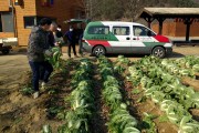 대가야농촌문화체험특구, 재배 농작물 복지시설에 기부