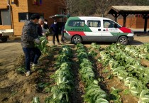 대가야농촌문화체험특구, 재배 농작물 복지시설에 기부