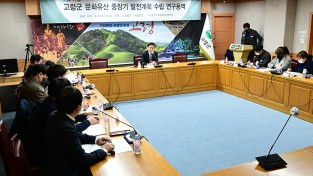고령군, ‘문화유산 중장기 발전계획’ 최종보고회 개최